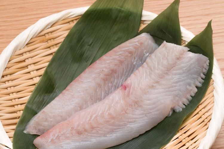 給我更多關于沙龍魚的圖片，沙龍魚與沙龍王的區別