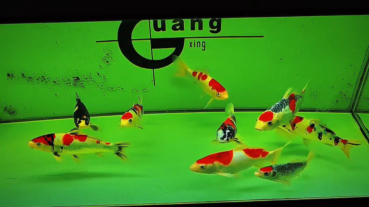 打卡，昆weixin001評論：現代人對即時分享的渴望