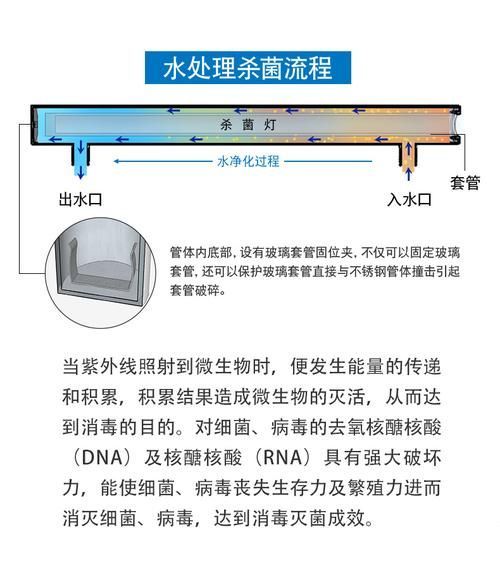 如何預防龍魚體外細菌感染復發，如何防止龍魚體外細菌感染復發 如何預防龍魚體外細菌感染復發，如何防止龍魚體外細菌感染復發 龍魚百科 第9張