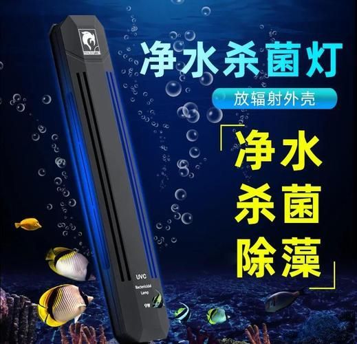 如何預防龍魚體外細菌感染復發，如何防止龍魚體外細菌感染復發 如何預防龍魚體外細菌感染復發，如何防止龍魚體外細菌感染復發 龍魚百科 第10張