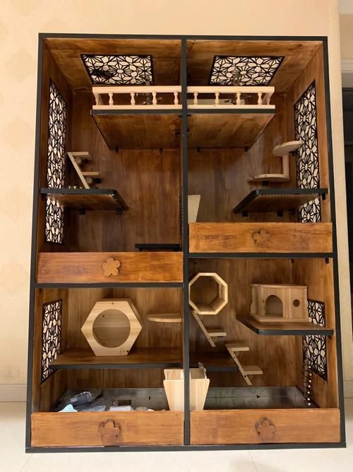 如何預防龍貓疾病，如何科學預防龍貓疾病