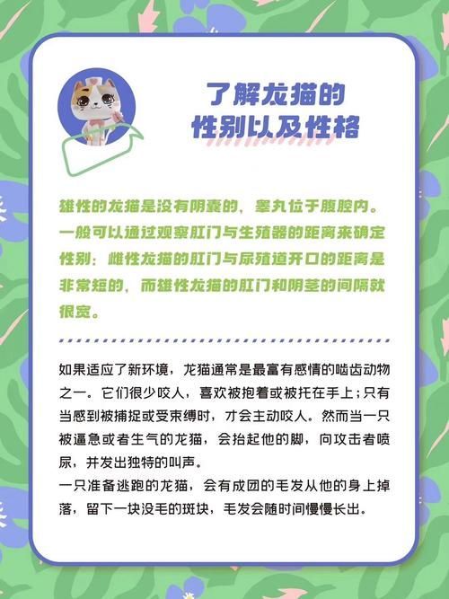 如何預防龍貓疾病，如何科學預防龍貓疾病