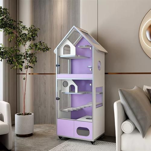 如何預防龍貓疾病，如何科學預防龍貓疾病