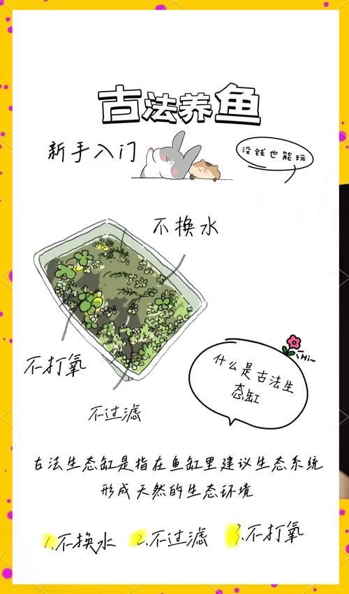 如何預防龍貓疾病，如何科學預防龍貓疾病