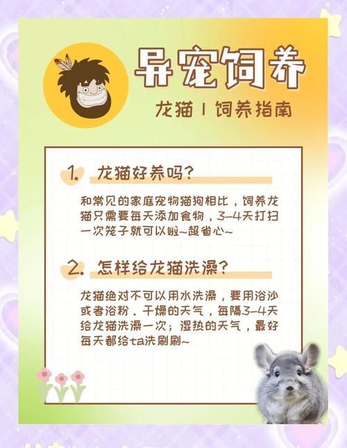 如何預防龍貓疾病，如何科學預防龍貓疾病