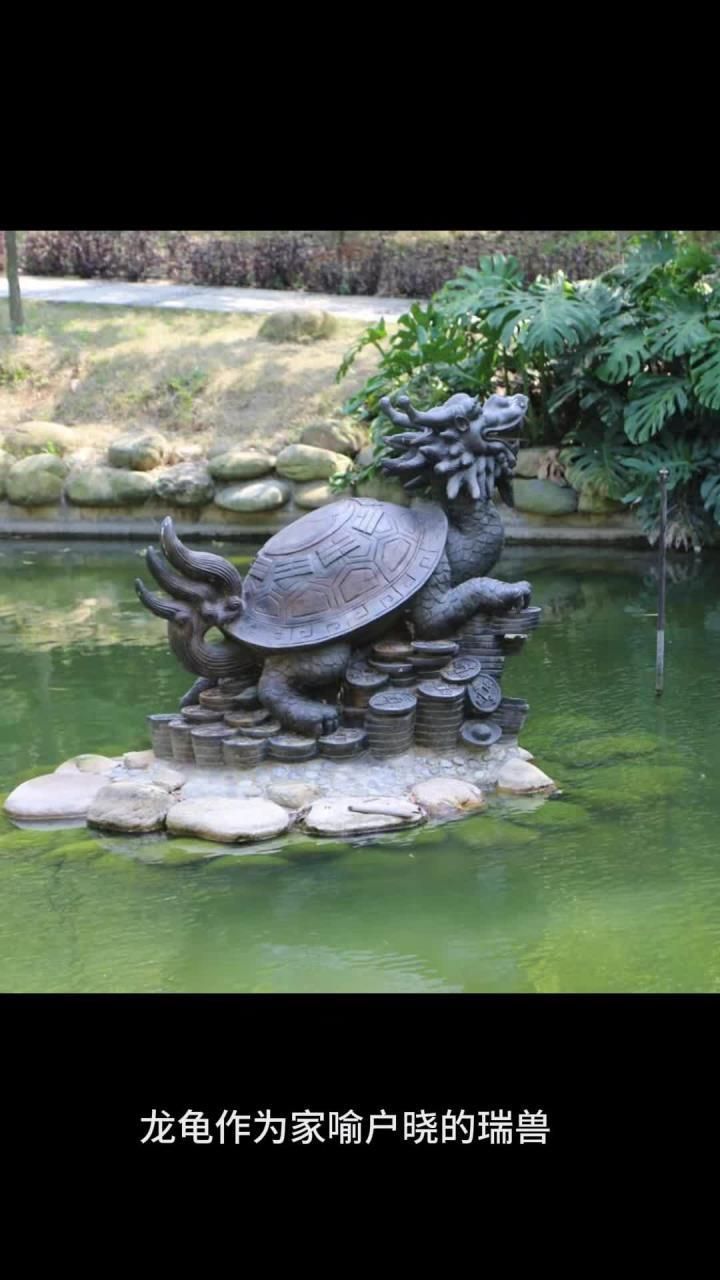 如何判斷衛生間是否適合擺放龍龜，龍龜在衛生間會有什么后果