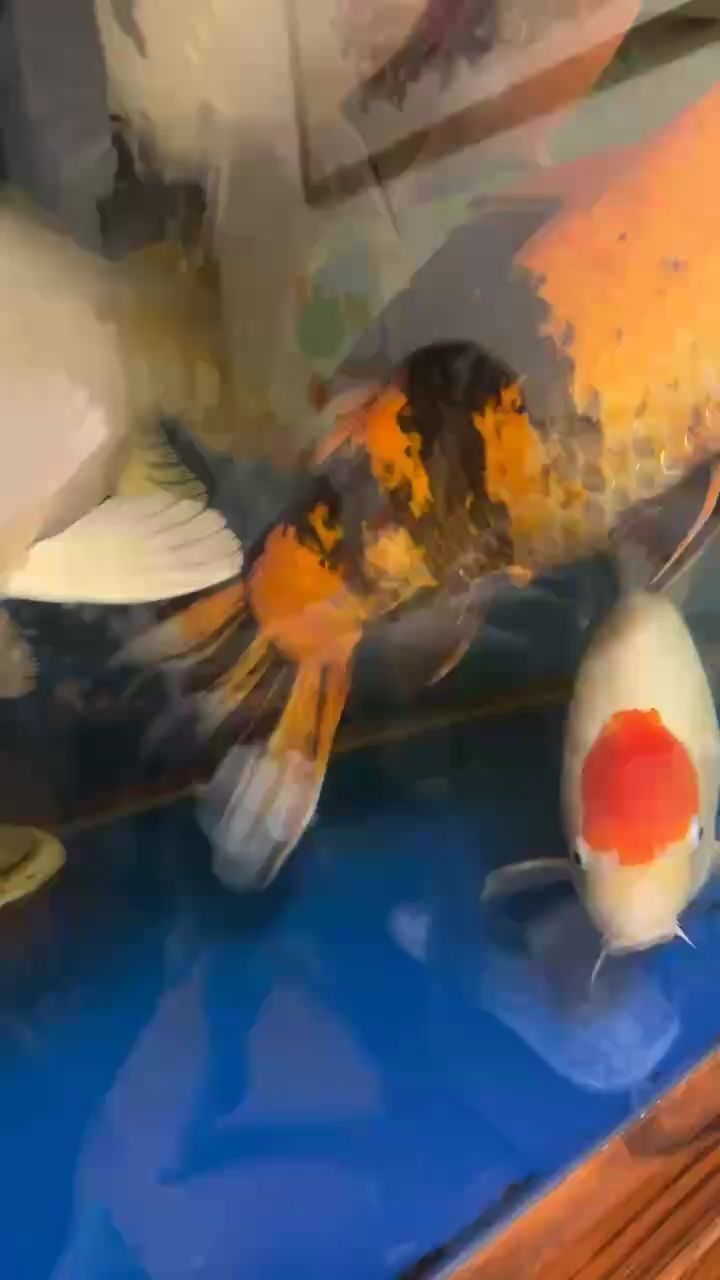 加班的一天，加班的一天，本文描述了一名職場人士在工作日中經歷的加班情景