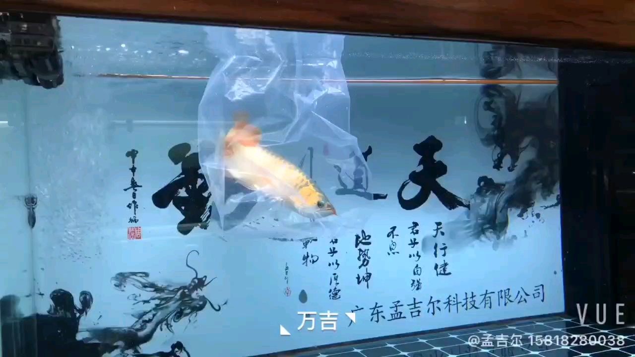 轉發(fā)960，“轉發(fā)960”對社會的影響
