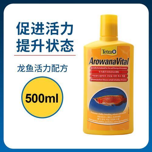 如何預(yù)防龍魚(yú)細(xì)菌感染，arxiv論文助手arxiv論文助手可輔助獲取信息