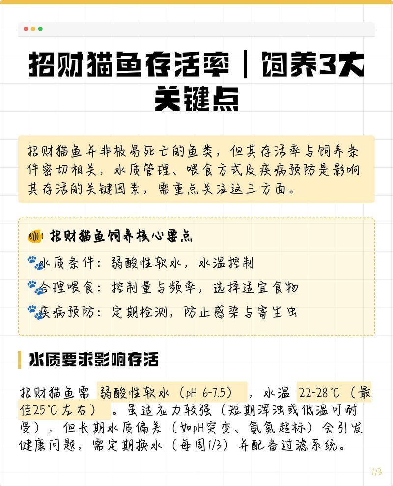 能否提供七星刀魚和招財貓魚的詳細(xì)飼養(yǎng)參數(shù)，七星刀魚和招財貓魚哪個更受歡迎 能否提供七星刀魚和招財貓魚的詳細(xì)飼養(yǎng)參數(shù)，七星刀魚和招財貓魚哪個更受歡迎 龍魚百科 第2張