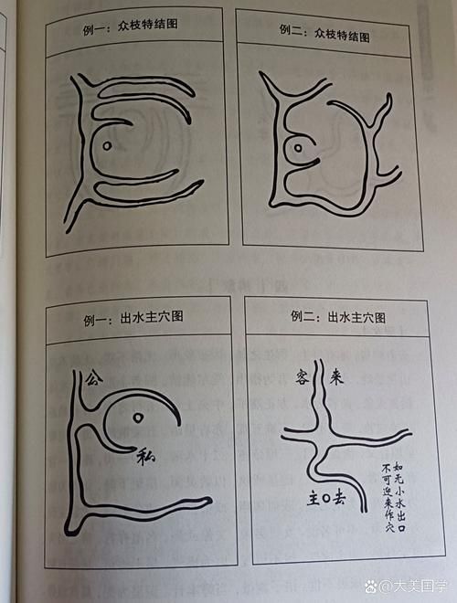能否提供騎龍穴的實例圖解，關(guān)于騎龍穴的實例圖解 能否提供騎龍穴的實例圖解，關(guān)于騎龍穴的實例圖解 龍魚百科 第3張