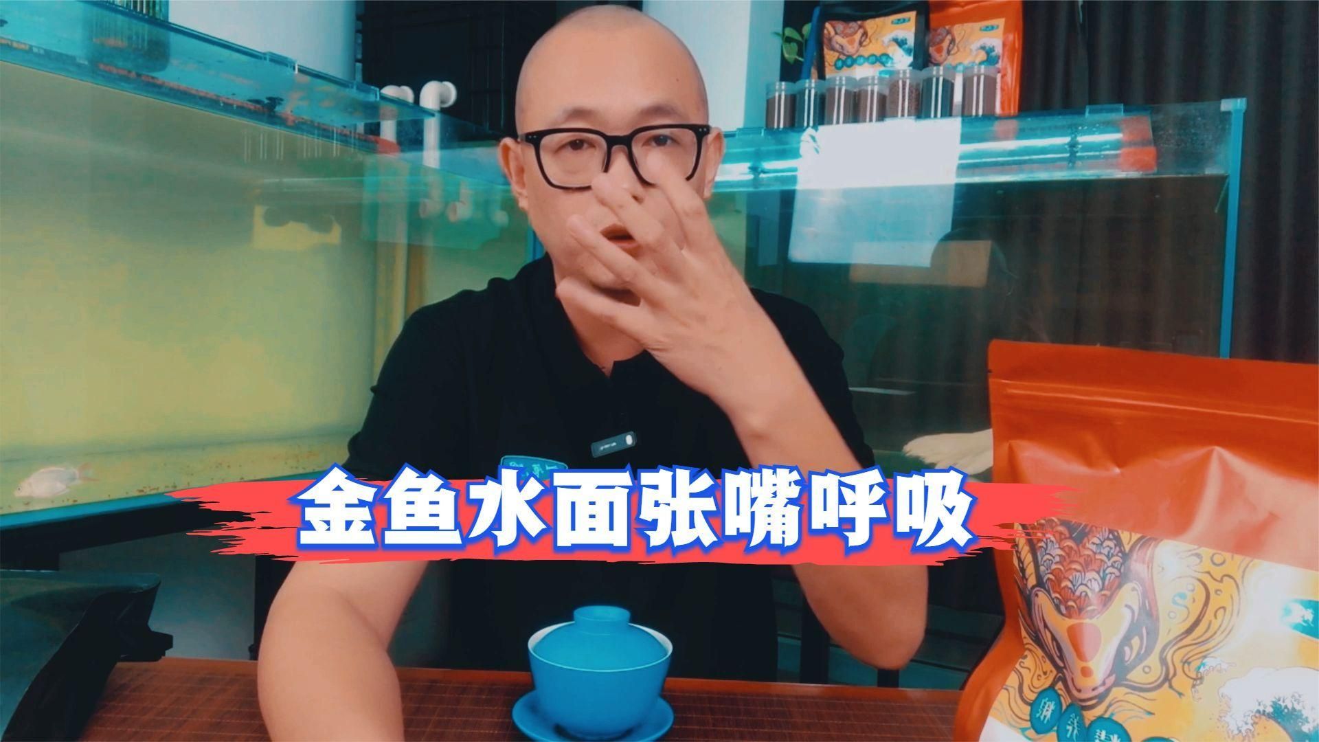 魚呼吸急促會死亡嗎，呼吸急促通常不會直接導致死亡但這可能是一個嚴重健康問題的征兆