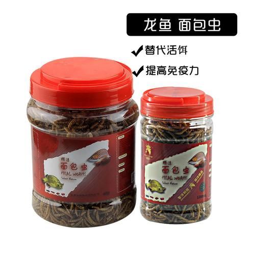 有哪些適合龍魚的開口餌料？，新手養龍魚開口訓練，步驟不要記錯了 有哪些適合龍魚的開口餌料？，新手養龍魚開口訓練，步驟不要記錯了 龍魚百科 第14張