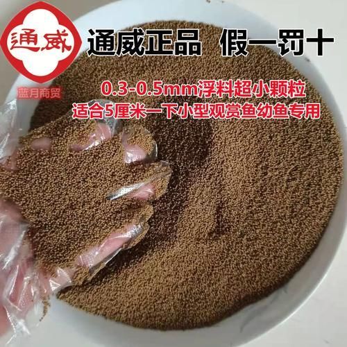 有哪些適合龍魚的開口餌料？，新手養龍魚開口訓練，步驟不要記錯了