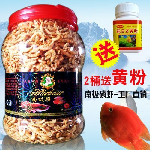 有哪些適合龍魚的開口餌料？，新手養龍魚開口訓練，步驟不要記錯了 有哪些適合龍魚的開口餌料？，新手養龍魚開口訓練，步驟不要記錯了 龍魚百科 第9張