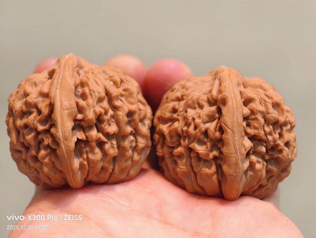 【淶水麻核桃·邯鄲蓮花1200包郵】，水麻核桃·邯鄲蓮花1200包郵