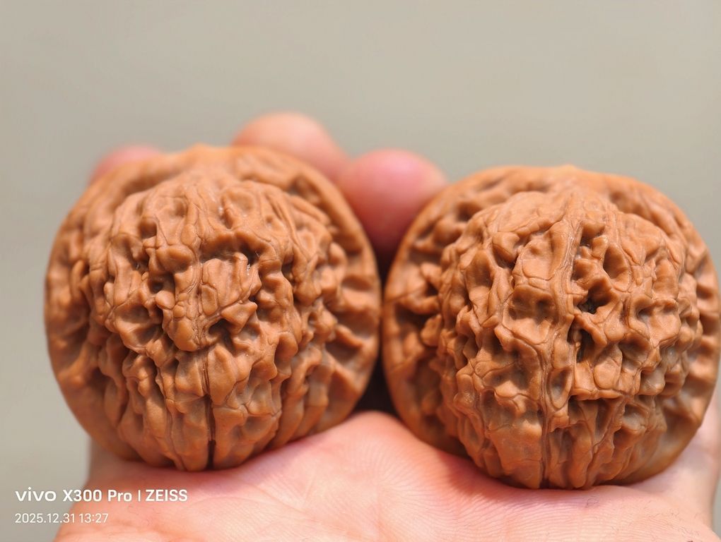 【淶水麻核桃·邯鄲蓮花1200包郵】，水麻核桃·邯鄲蓮花1200包郵