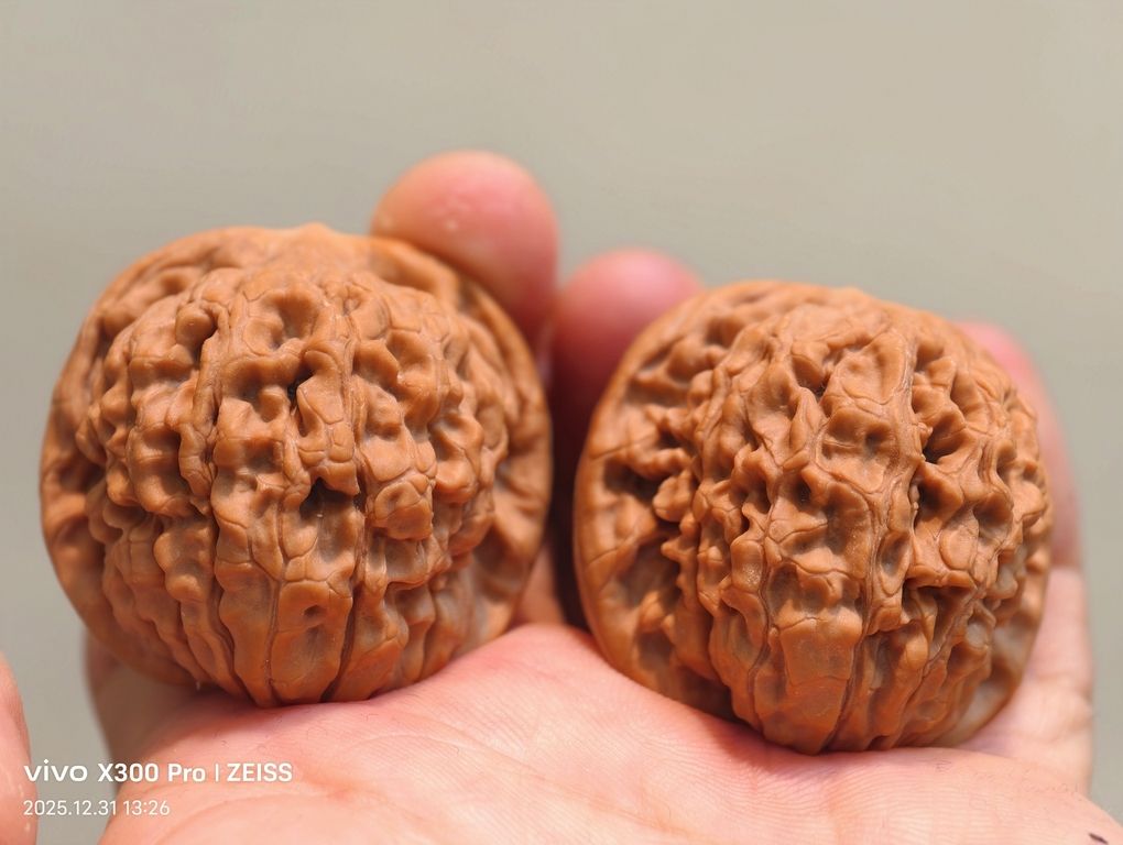 【淶水麻核桃·邯鄲蓮花1200包郵】，水麻核桃·邯鄲蓮花1200包郵