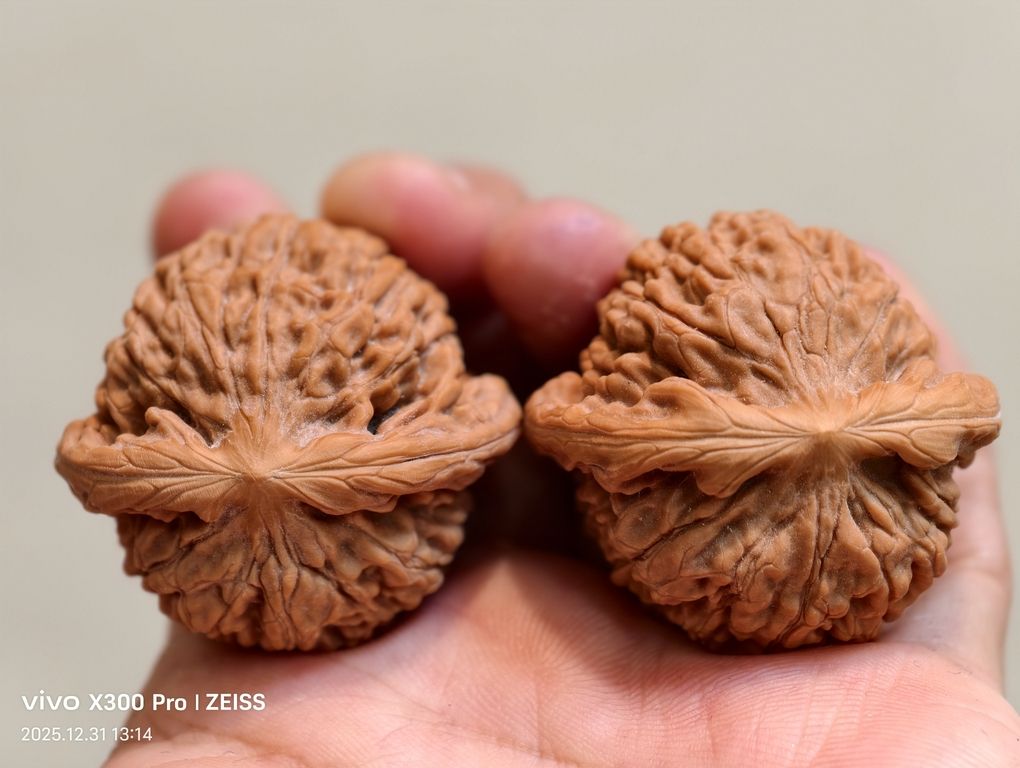 【淶水麻核桃·南瓜墩226包郵】，水麻核桃·南瓜墩226包郵