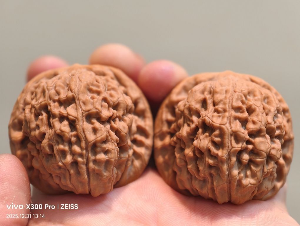 【淶水麻核桃·南瓜墩226包郵】，水麻核桃·南瓜墩226包郵