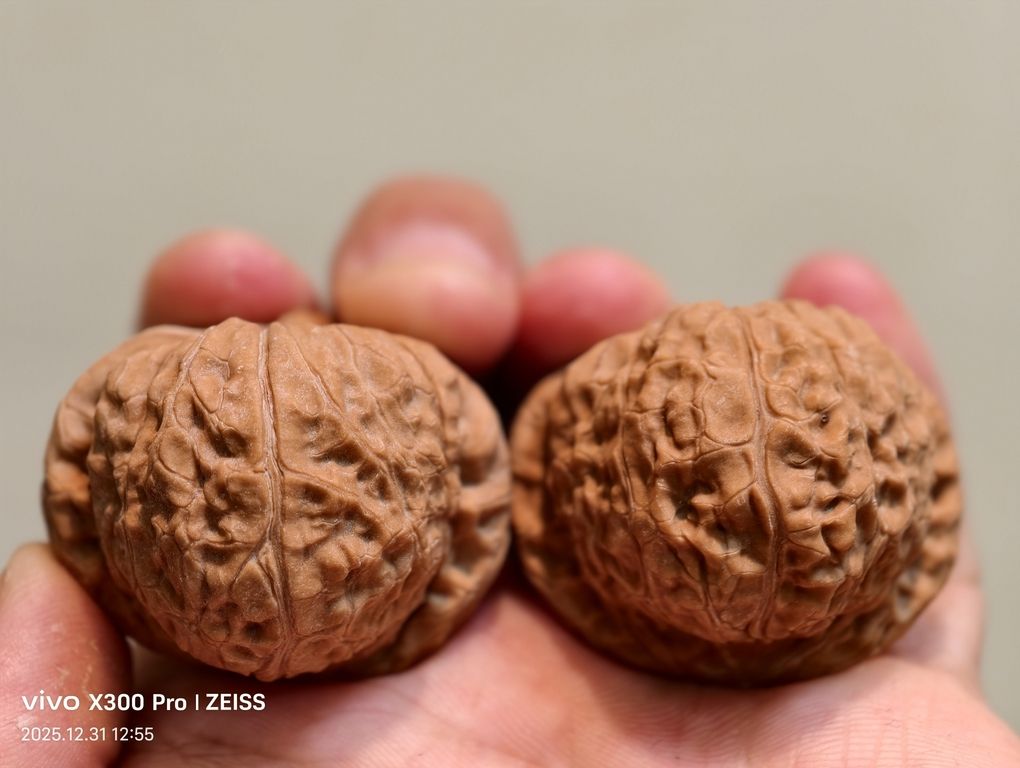 【淶水麻核桃·南瓜墩266包郵】，淶水麻核桃·南瓜墩