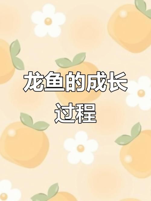 哪些因素會影響龍魚的生長速度？，養殖龍魚的基本要求