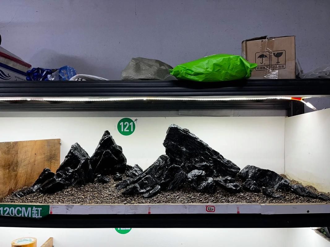 給我一些120×60魚缸的造景圖片，120×60厘米的魚缸造景圖片展示了如何通過不同的植物、裝飾品和水生物來豐富您的魚缸景觀