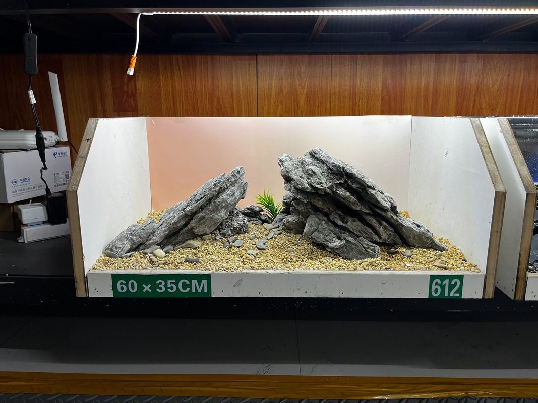 給我一些120×60魚缸的造景圖片，120×60厘米的魚缸造景圖片展示了如何通過不同的植物、裝飾品和水生物來豐富您的魚缸景觀