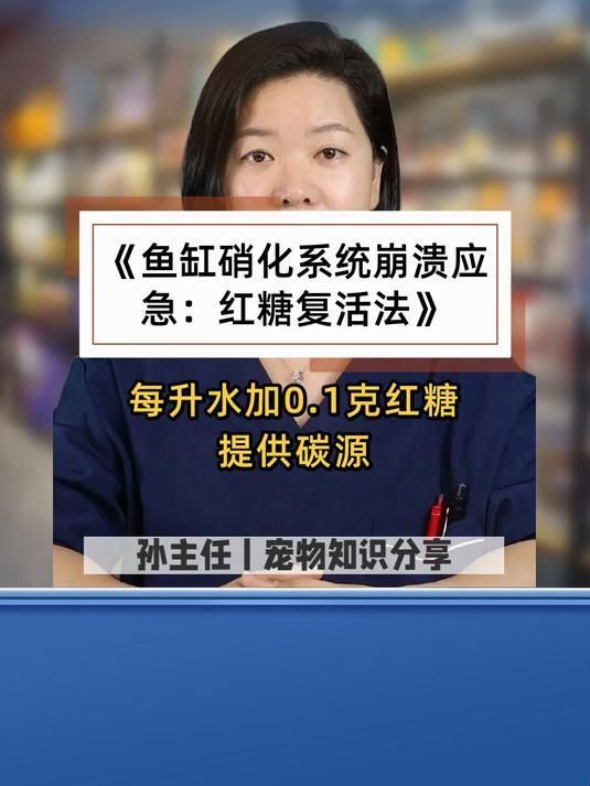 魚缸殺蟲后如何恢復硝化系統，魚缸殺蟲后如何快速恢復？