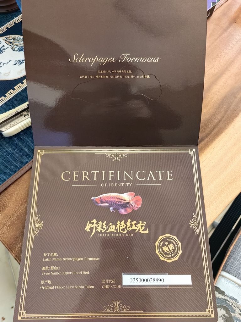 小家伙到家了，小家伙到家了，