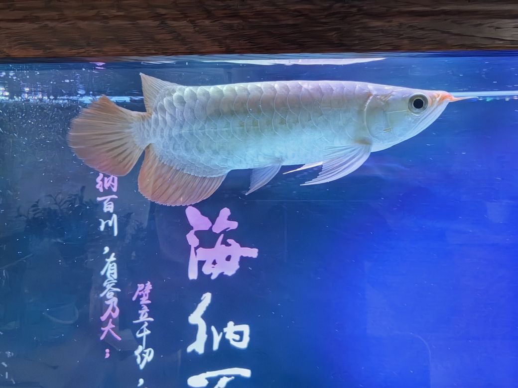 第一天，《探索未知的第一天》主要內容