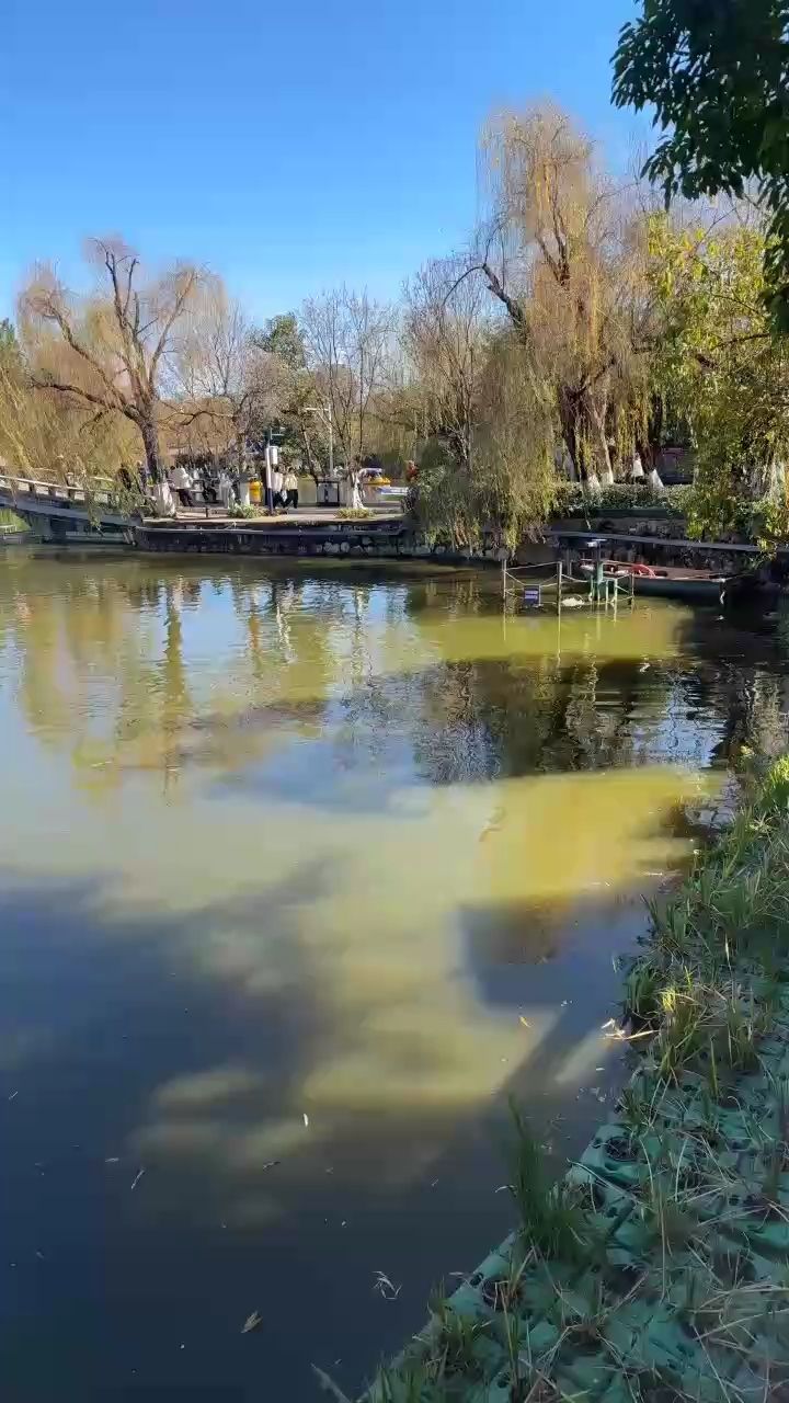 吃完飯，吃完飯，本文探討了飯后行為對健康的影響，對健康的影響
