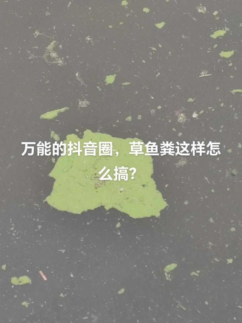 正常龍魚糞便圖，如何判斷龍魚糞便是否正常
