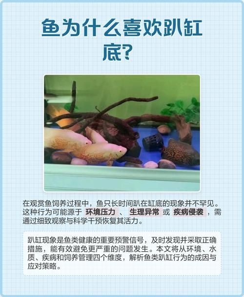 如何判斷魚是否完全恢復(fù)，arxiv論文助手工具arxiv論文助手判斷魚是否完全恢復(fù)