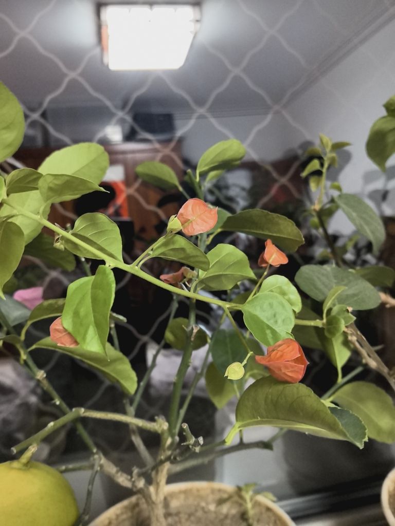 堅持愛好，堅持愛好對提升生活質量和實現個人潛能的重要性與實踐策略