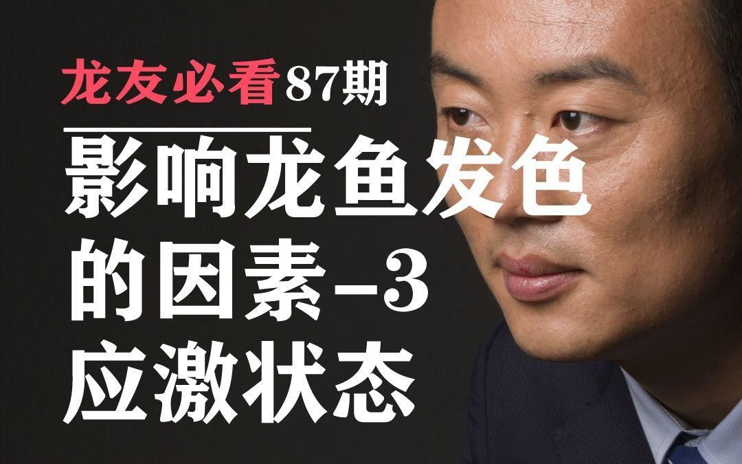 小紅龍魚最怕三個東西，小紅龍魚養殖技術