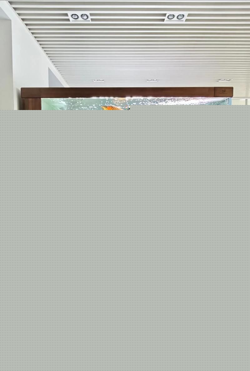 客廳魚缸擺放位置圖大全，客廳魚缸擺放位置圖