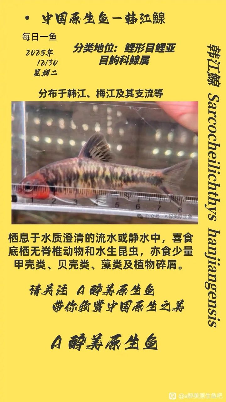 韓江鰁，中國南方一條重要河流，其流域覆蓋了多個省份，廣東廣西和福建