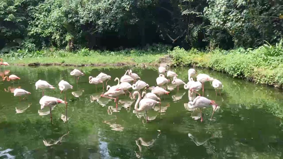 自然，《自然之美的探索與保護》