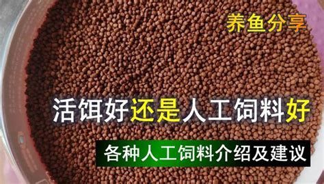 有哪些食物適合龍魚趴缸后進食？，龍魚趴缸后的飲食需求會發(fā)生變化對龍魚的健康和健康和活力