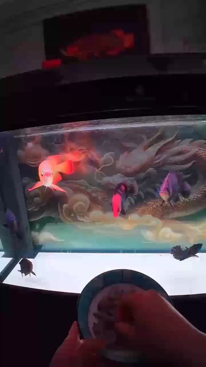 變化挺大，變化挺大，諸葛非
