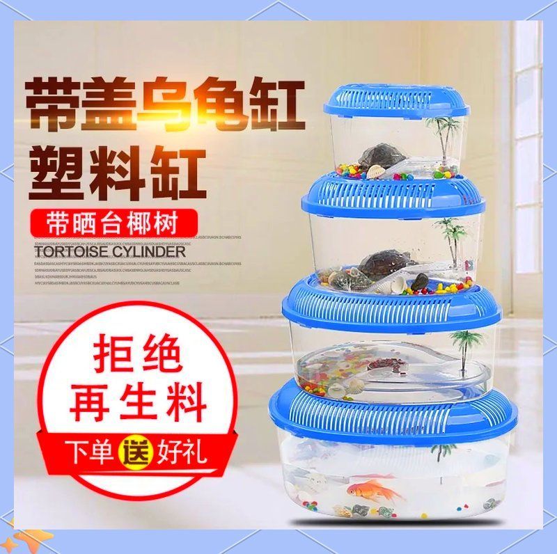 有哪些低成本養(yǎng)龜方法，低成本養(yǎng)龜技巧