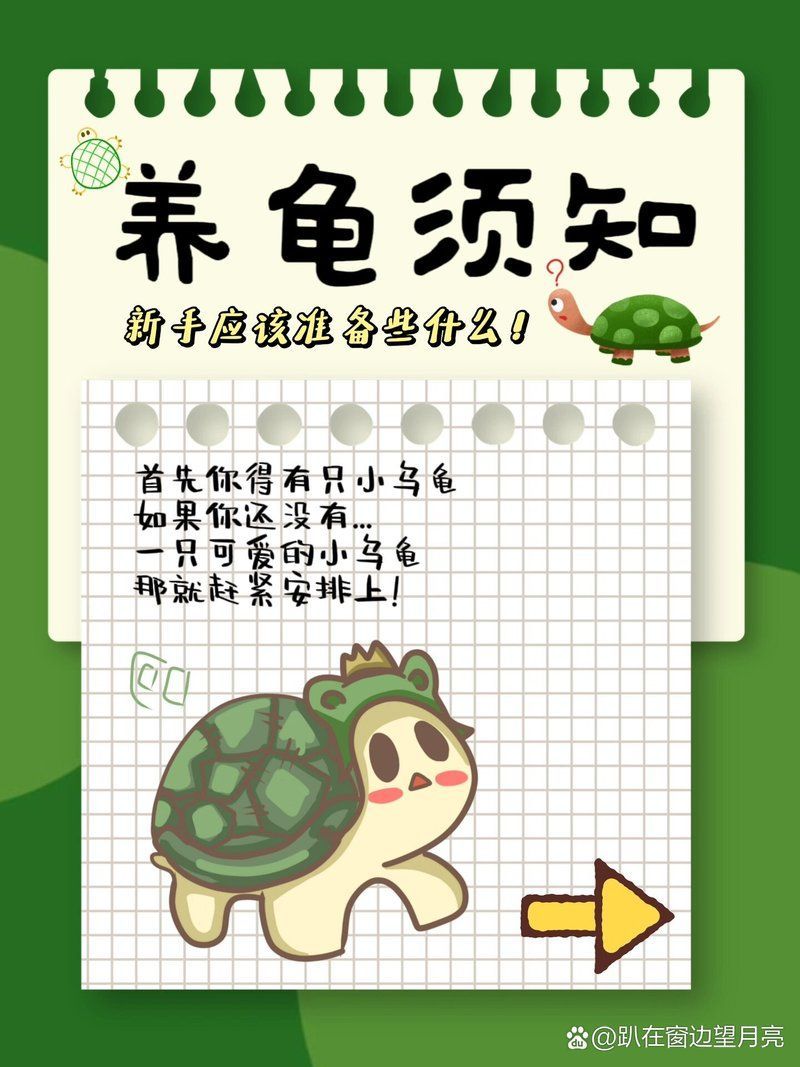 有哪些低成本養(yǎng)龜方法，低成本養(yǎng)龜技巧