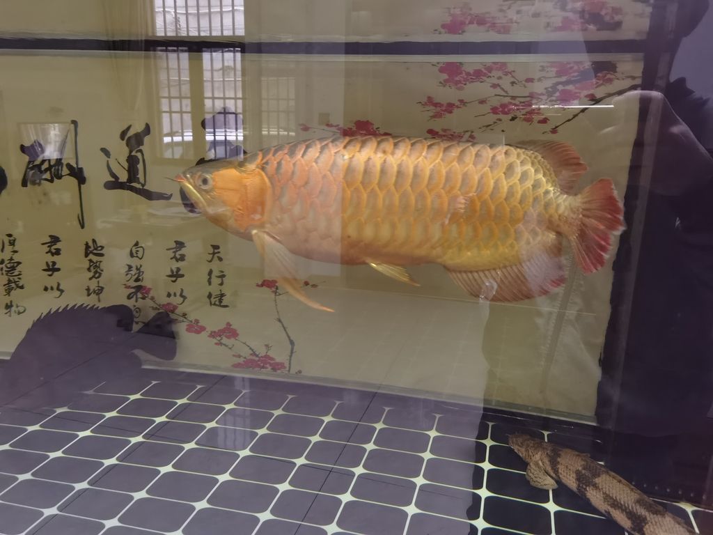 ，mono-c評(píng)論：人工智能為教育領(lǐng)域帶來(lái)了新的機(jī)遇和挑戰(zhàn)