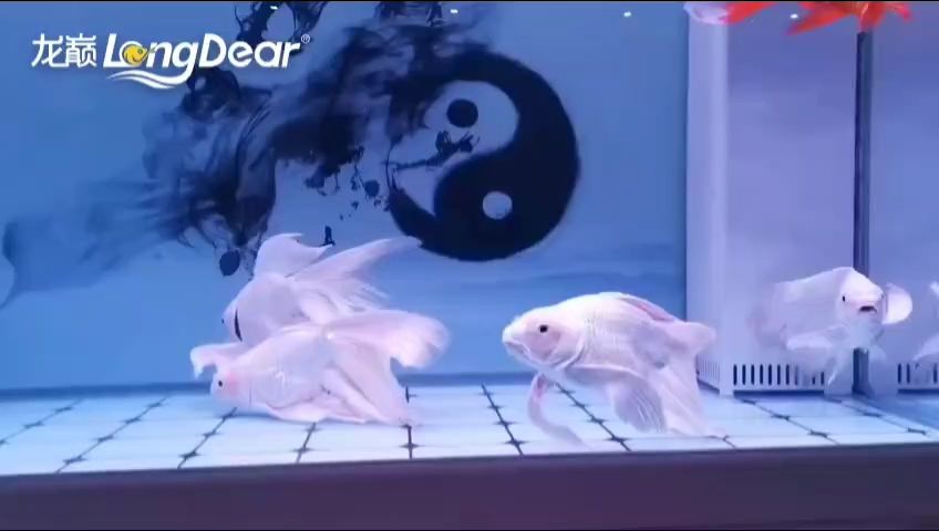 事事順遂，會越來越好，南無阿彌陀佛??????，“事事順遂”是佛教中的一句祈禱語，表示對佛陀的尊敬和感激之情
