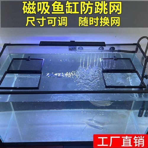 有哪些優(yōu)質的龍魚防跳蓋推薦，bessn磁吸魚缸防跳蓋魚缸防跳蓋安裝圖文指南