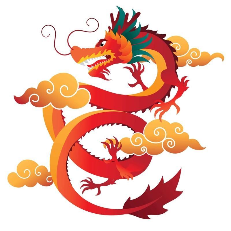 紅龍頭像與其他動物頭像比較，紅龍頭像適合哪些性格的人 紅龍頭像與其他動物頭像比較，紅龍頭像適合哪些性格的人 龍魚百科 第9張