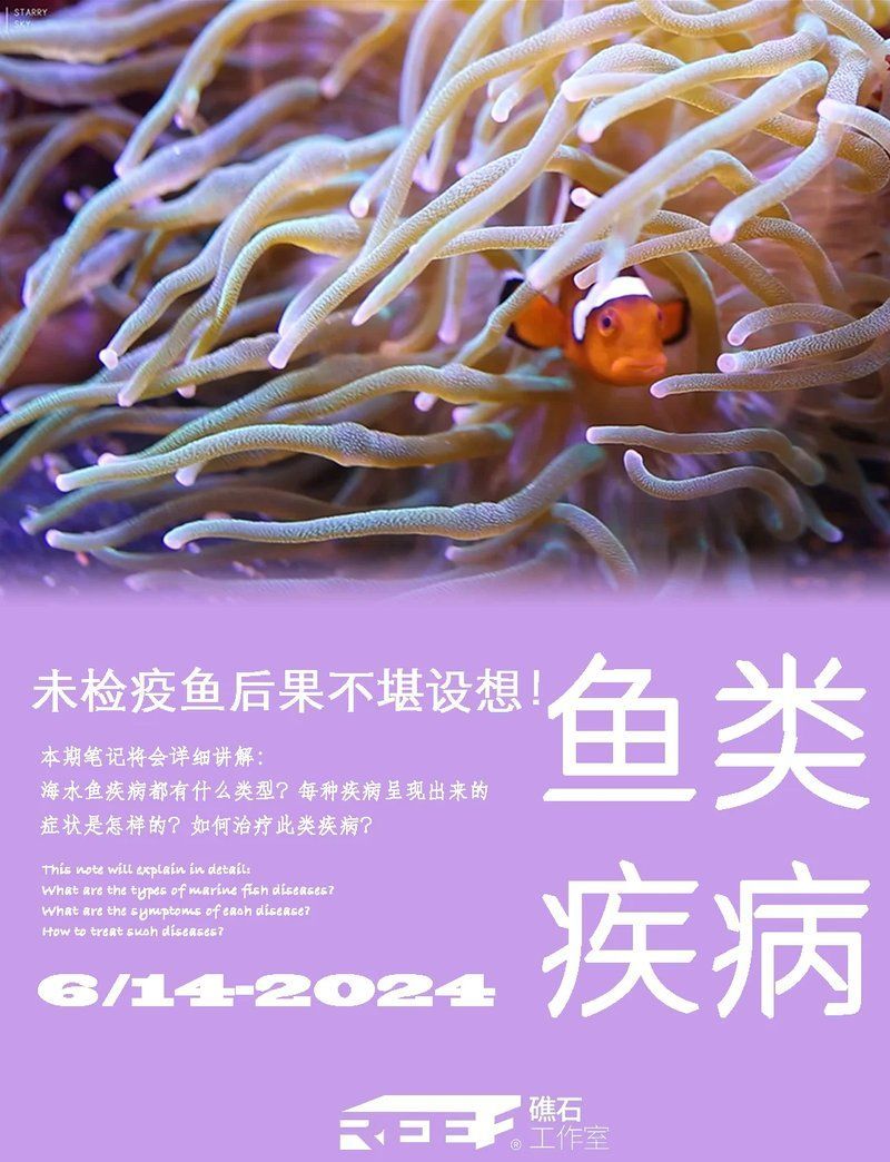 如何區(qū)分魚類病毒和細(xì)菌感染，如何區(qū)分魚類病毒和細(xì)菌感染癥狀