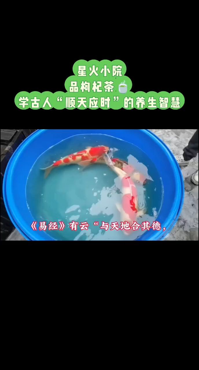 打造生態循環??有文化底蘊的小院，生態循環有文化底蘊的小院