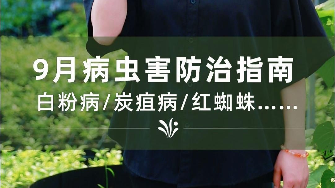 春秋季兩次防治具體如何操作，春秋季兩次防治具體如何操作探討春季和秋季兩次關鍵時期